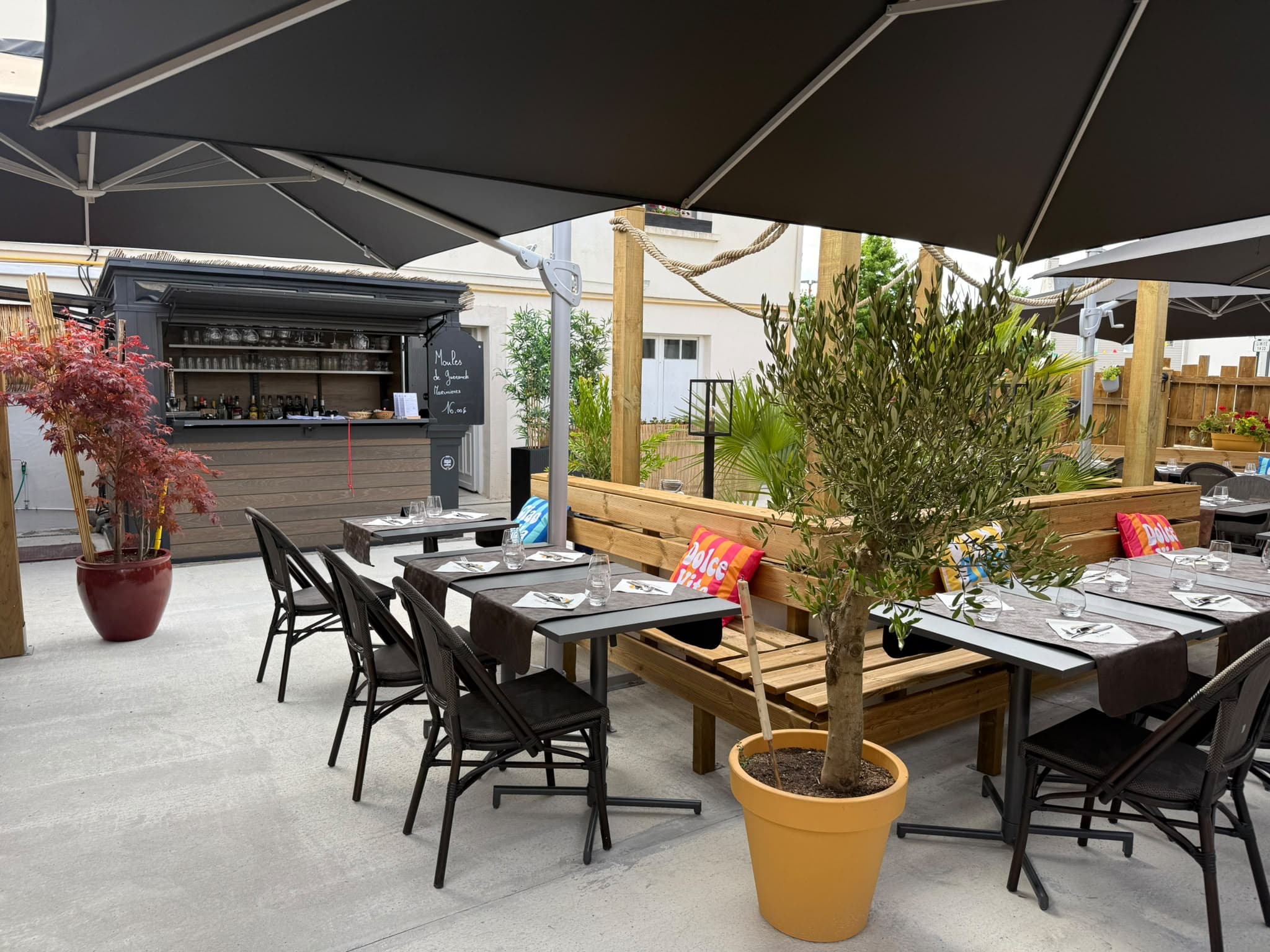 Terrasse extérieure ombragée du Lion d'Or avec bar et oliviers